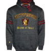 Harry Potter Hoodie (Crest ) Gryffindor
